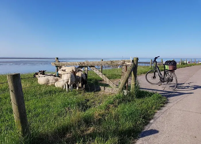 G2 Mit Wiesenblick Und Waschmaschine By Interhome